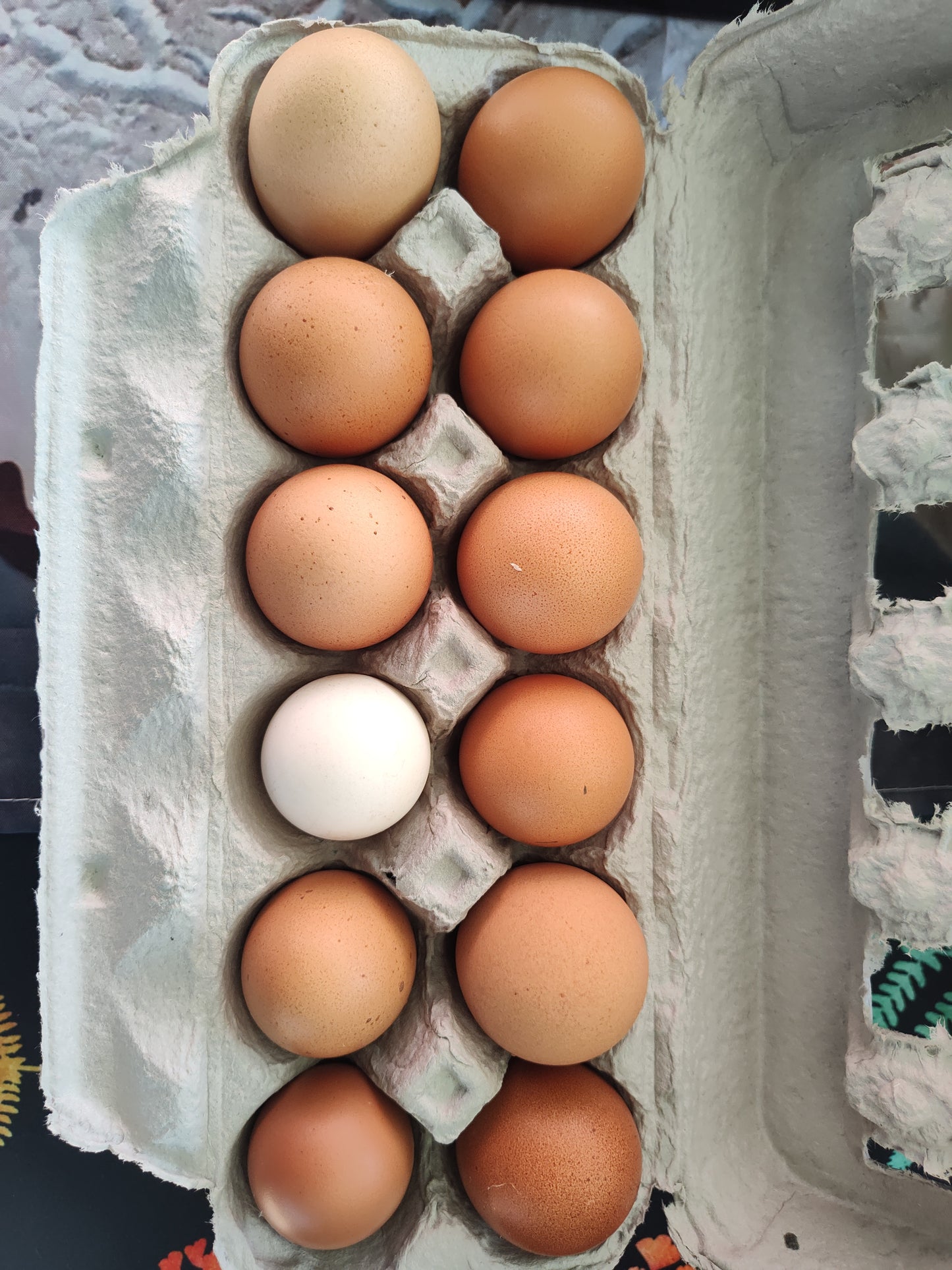Chicken eggs