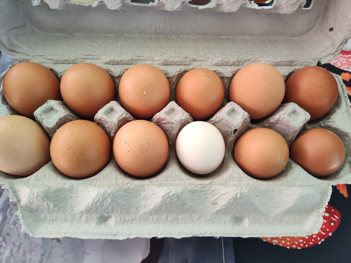 Chicken eggs